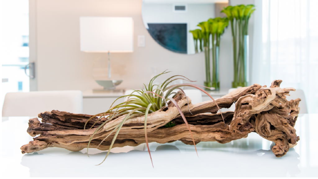 Ball Harbour Apartament